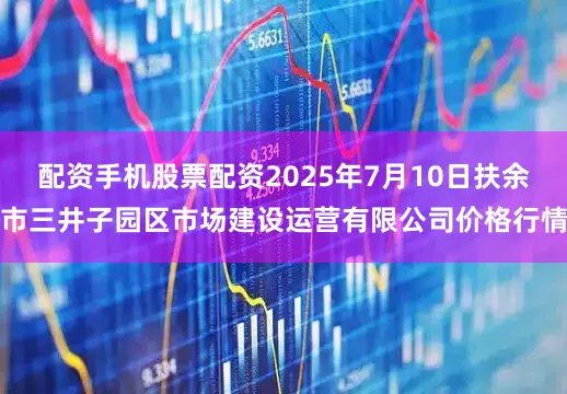 配资手机股票配资2025年7月10日扶余市三井子园区市场建设运营有限公司价格行情