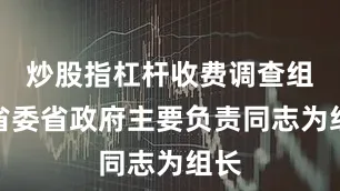 炒股指杠杆收费调查组由省委省政府主要负责同志为组长