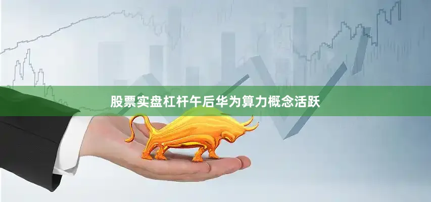 股票实盘杠杆午后华为算力概念活跃