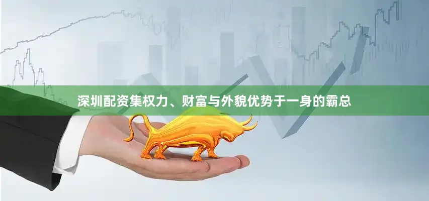 深圳配资集权力、财富与外貌优势于一身的霸总