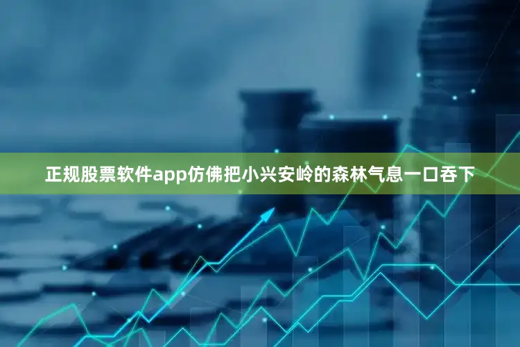 正规股票软件app仿佛把小兴安岭的森林气息一口吞下